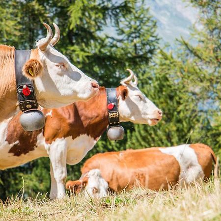 Chalet Heimetli Grächen Dış mekan fotoğraf
